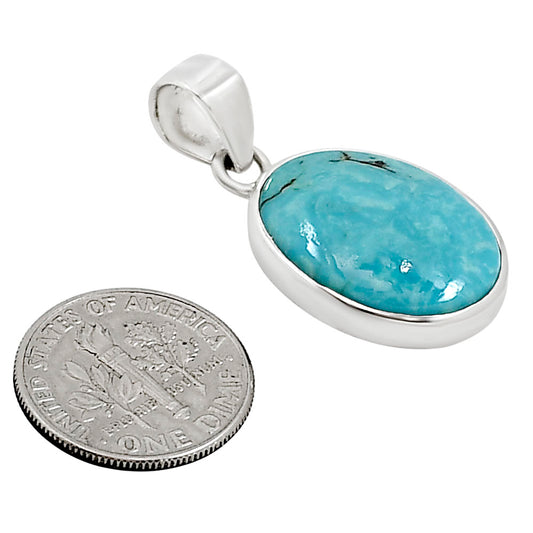 Natural Rare Turquoise Nevada Aztec Mt Pendant P-1002 27-EP10897
