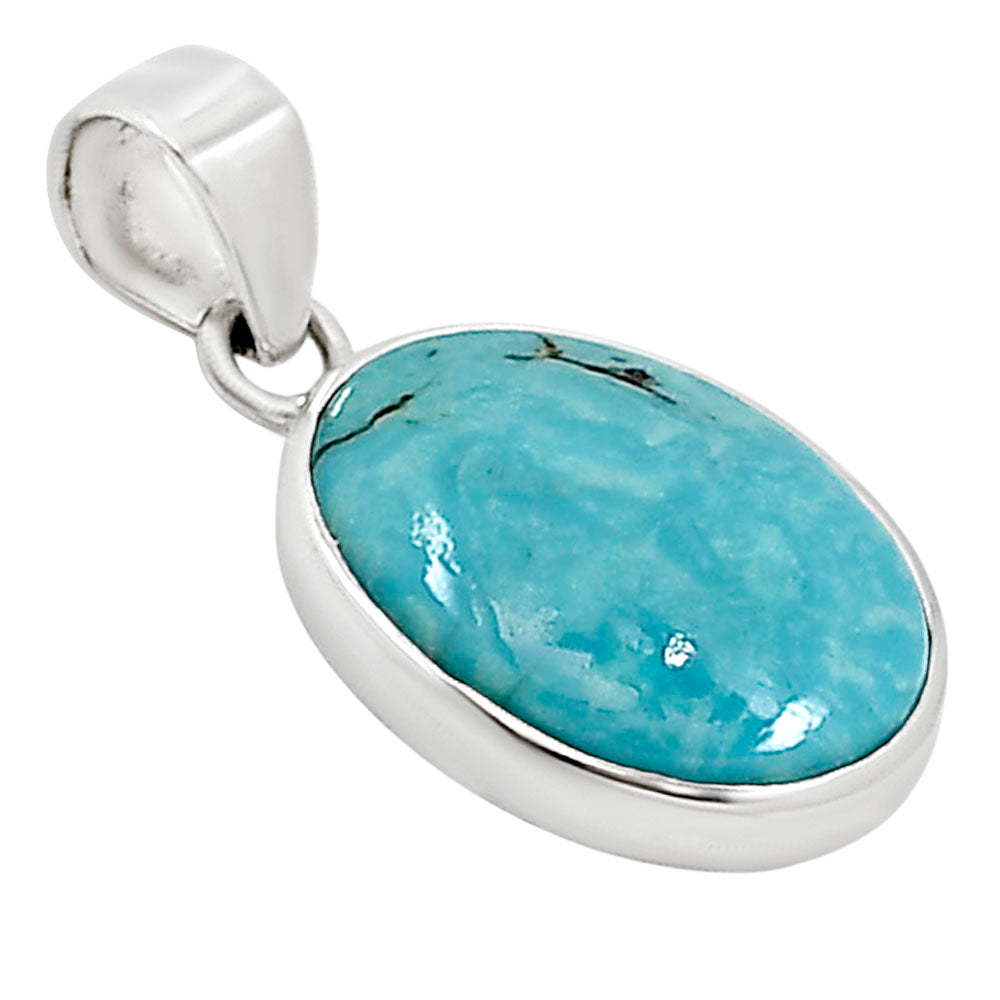 Natural Rare Turquoise Nevada Aztec Mt Pendant P-1002 27-EP10897