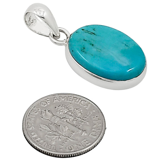 Natural Rare Turquoise Nevada Aztec Mt Pendant P-1001 27-EP11104