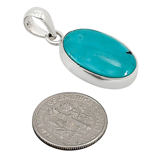 Natural Rare Turquoise Nevada Aztec Mt Pendant P-1001 27-EP11108