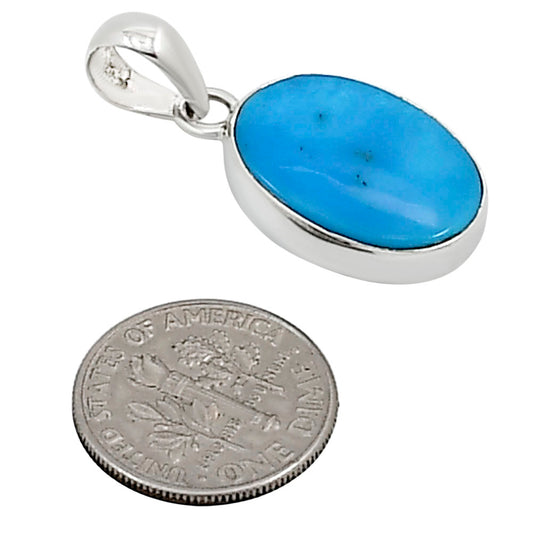 Natural Rare Turquoise Nevada Aztec Mt Pendant P-1001 27-EP11114