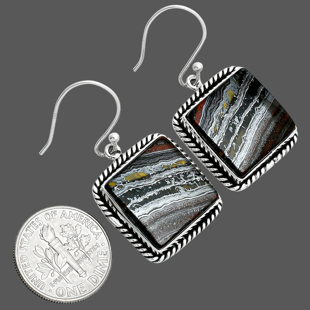 Natural Iron Tiger Eye Earrings E-1055 51-EE10399
