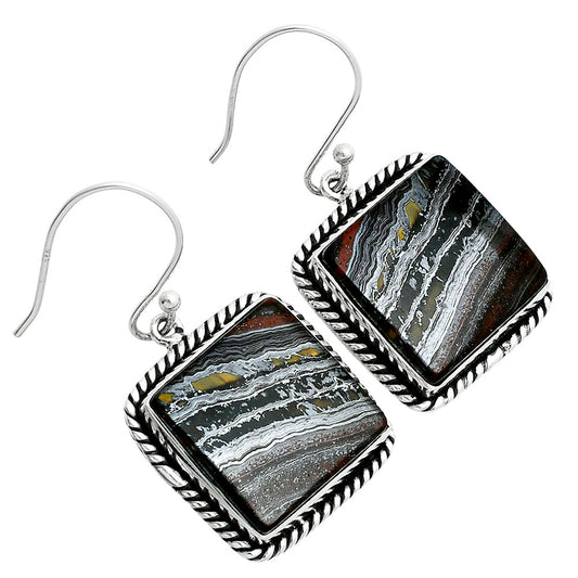 Natural Iron Tiger Eye Earrings E-1055 51-EE10399