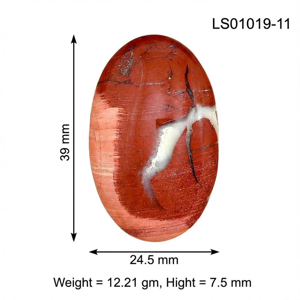 Snake Skin Jasper 39x24.5x7.5 mm Oval Gemstone LS01019-11