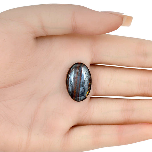 Iron Tiger Eye 23.3x15.4x5.5 mm Oval Gemstone LS01081-13
