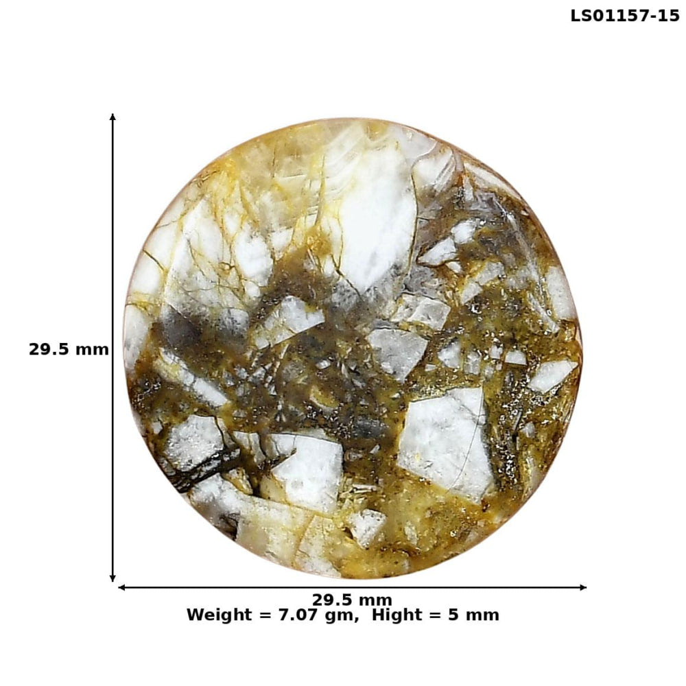 Wild Horse Jasper 29.5x29.5x5 mm Round Gemstone LS01157-15