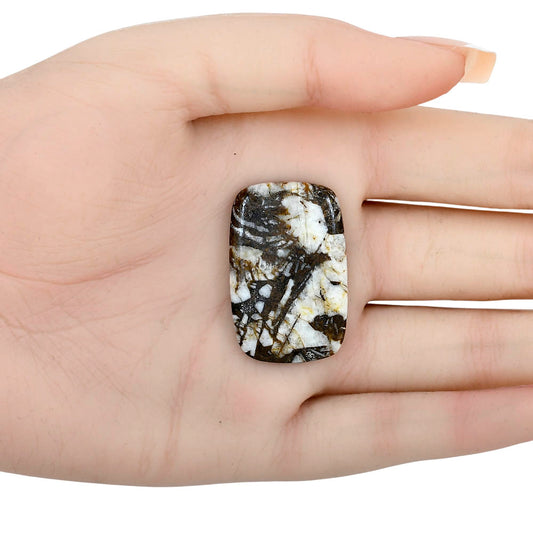 Wild Horse Jasper 34.16x22.14x4.5 mm Cushion Gemstone LS01161-15