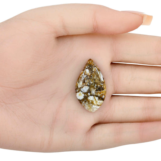 Wild Horse Jasper 32x18.53x5.5 mm Pear Gemstone LS01163-15