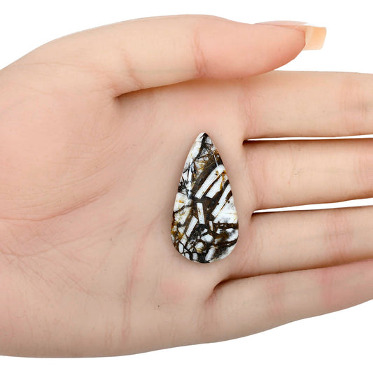 Wild Horse Jasper 34.83x18.22x5.5 mm Pear Gemstone LS01169-15