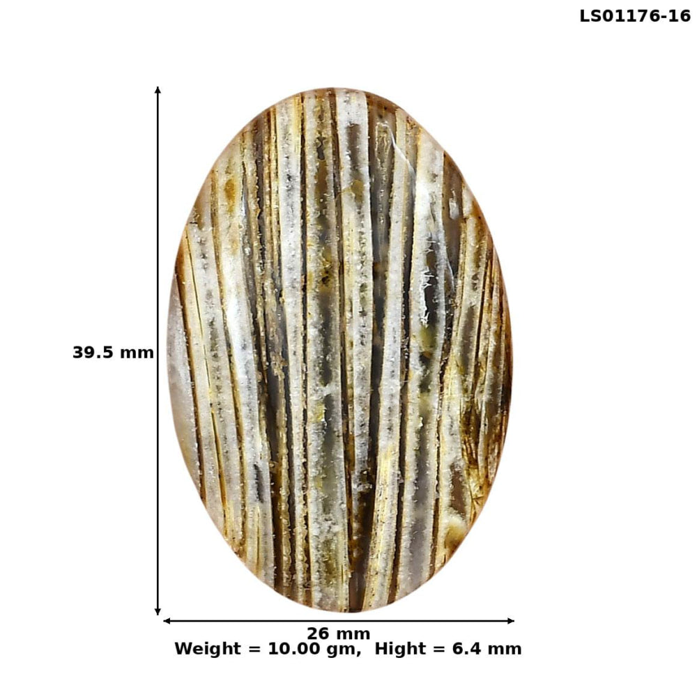 Stick Agate 39.5x26x6.4 mm Oval Gemstone LS01176-16