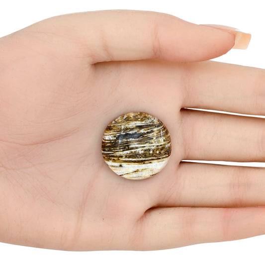 Stick Agate 25x25x6 mm Round Gemstone LS01179-16