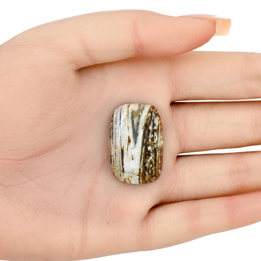 Stick Agate 29.41x19.58x5.3 mm Cushion Gemstone LS01183-16