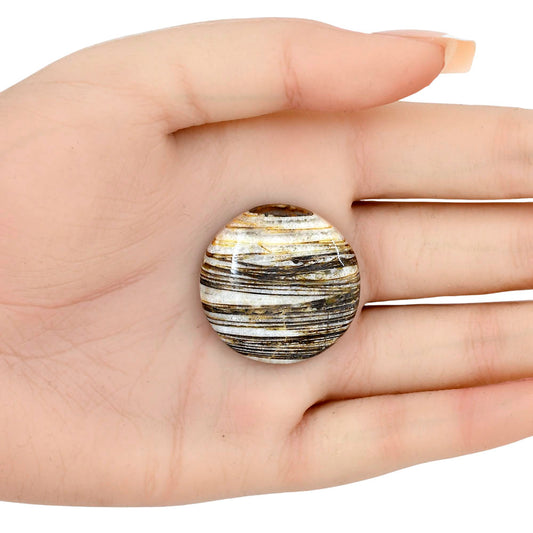 Stick Agate 29.66x29.66x6 mm Round Gemstone LS01186-16