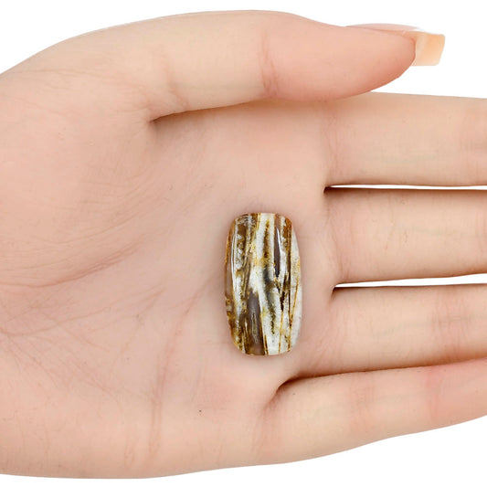 Stick Agate 27.72x15.13x5 mm Cushion Gemstone LS01240-16