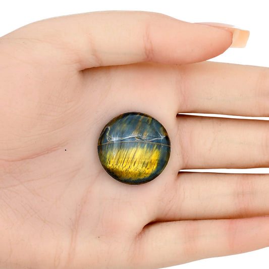 Blue Tiger Eye 24.8x24.8x5.7 mm Round Gemstone LS01357-17