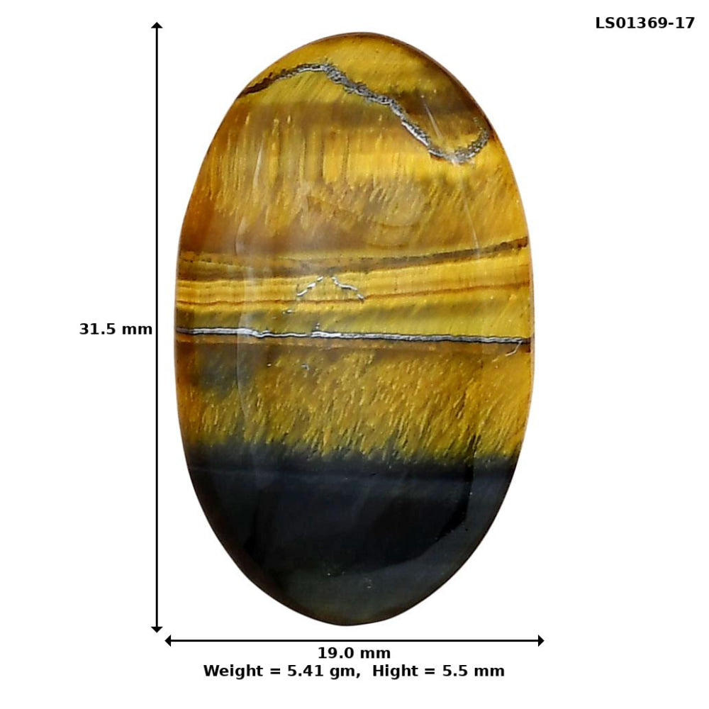 Blue Tiger Eye 31.5x19x5.5 mm Oval Gemstone LS01369-17