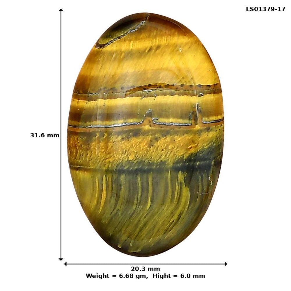 Blue Tiger Eye 31.6x20.3x6 mm Oval Gemstone LS01379-17