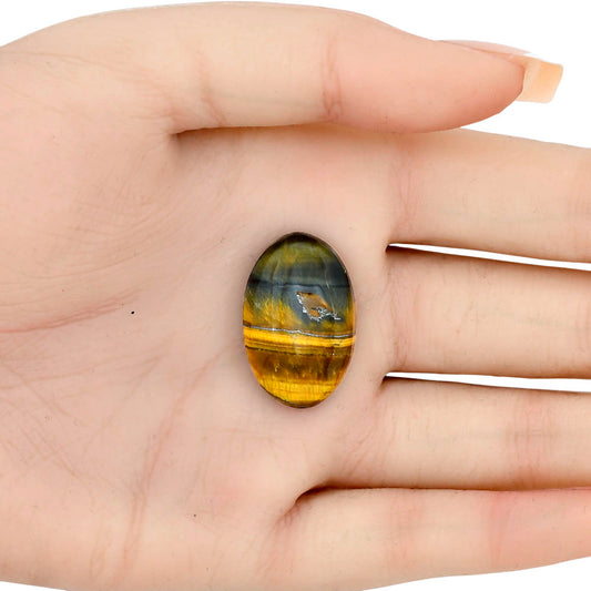 Blue Tiger Eye 26.3x17x6 mm Oval Gemstone LS01396-17