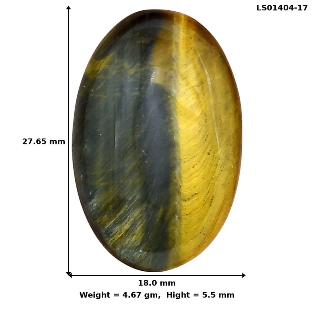 Blue Tiger Eye 27.65x18x5.5 mm Oval Gemstone LS01404-17