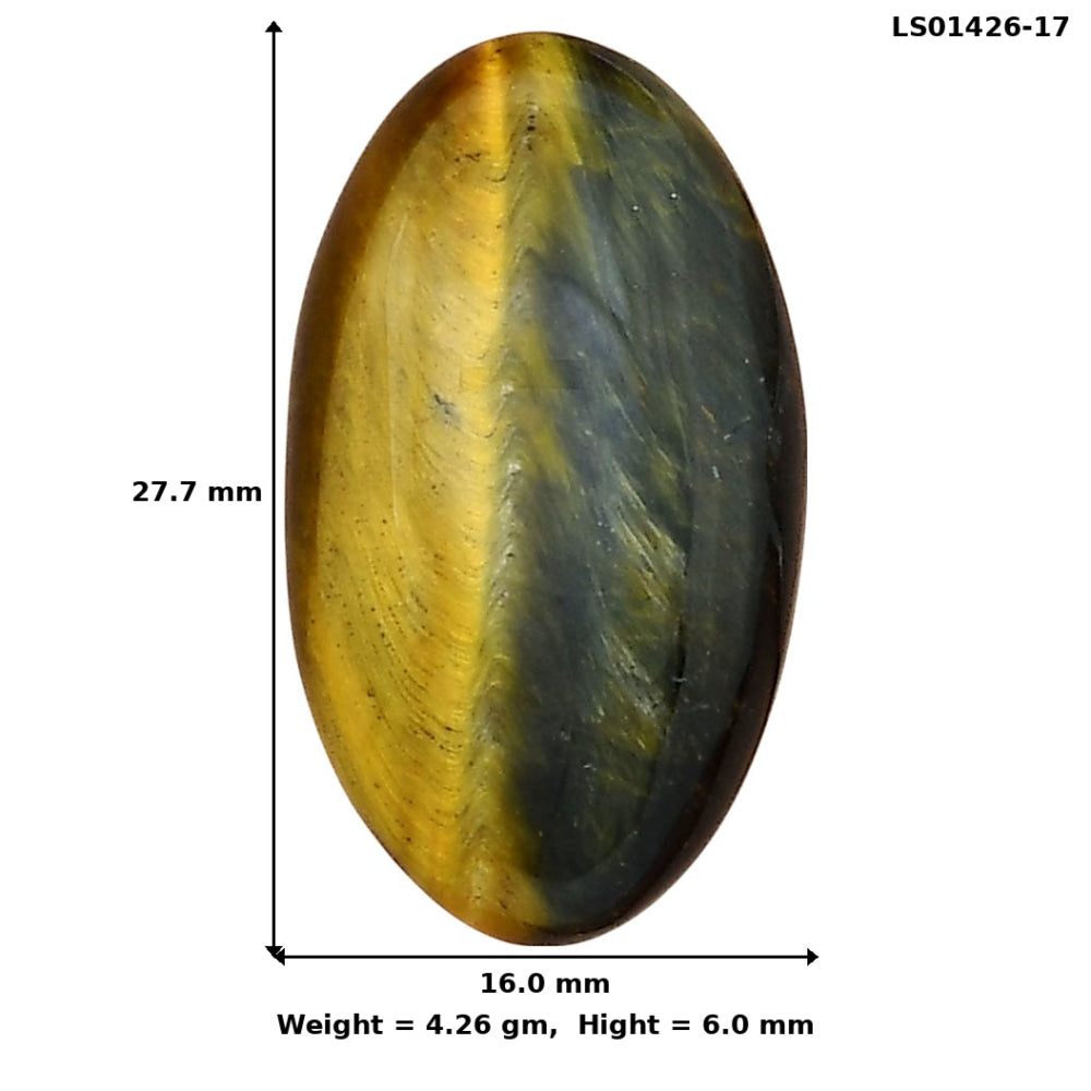 Blue Tiger Eye 27.7x16x6 mm Oval Gemstone LS01426-17