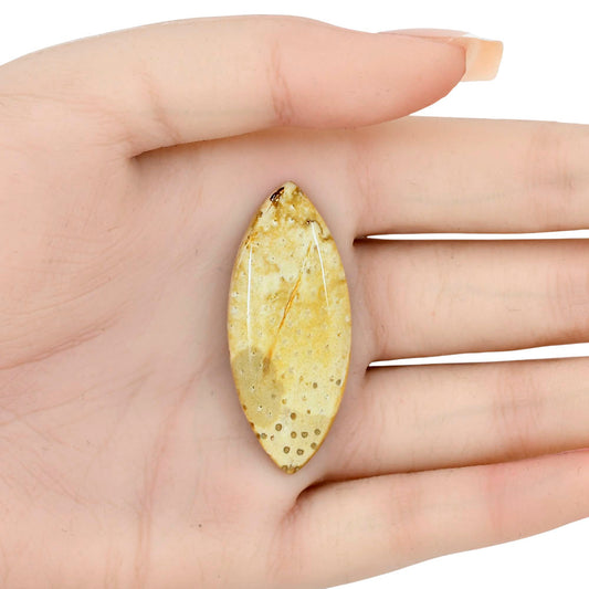 Root Plume Agate 44.5x19x5.5 mm Marquise Gemstone LS01442-18