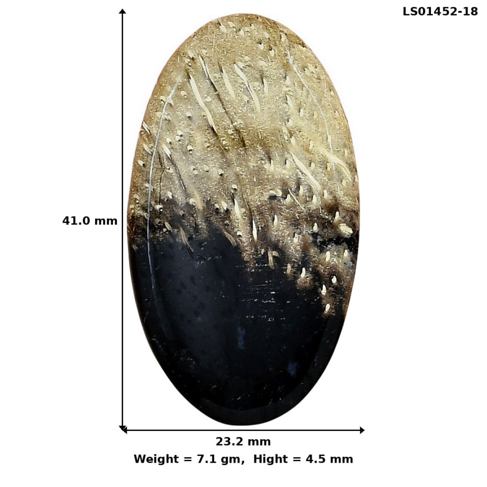 Root Plume Agate 41x23.2x4.5 mm Oval Gemstone LS01452-18