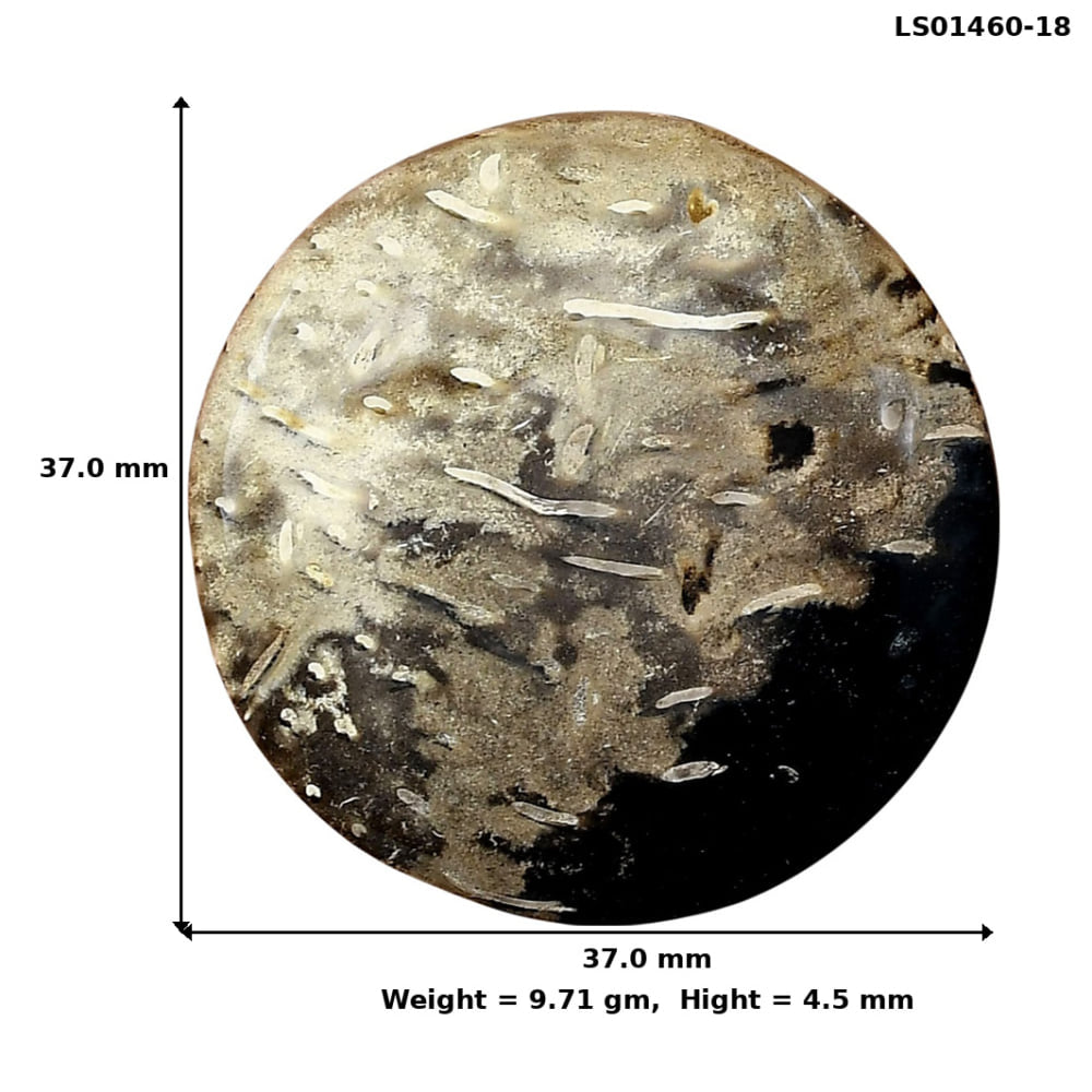 Root Plume Agate 37x37x4.5 mm Round Gemstone LS01460-18