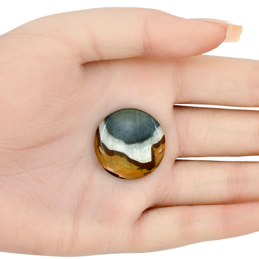 Polygram Jasper 22.6x22.6x4 mm Round Gemstone LS01538-20