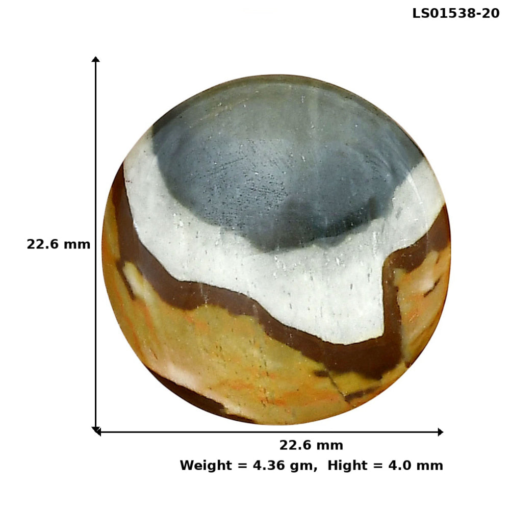 Polygram Jasper 22.6x22.6x4 mm Round Gemstone LS01538-20
