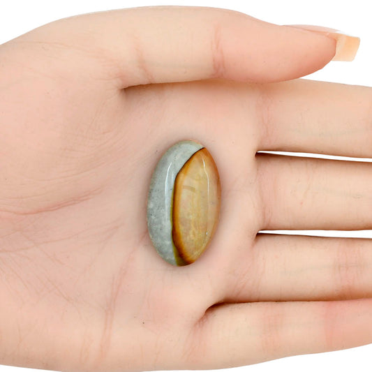 Polygram Jasper 30.7x17.8x5.5 mm Oval Gemstone LS01546-20