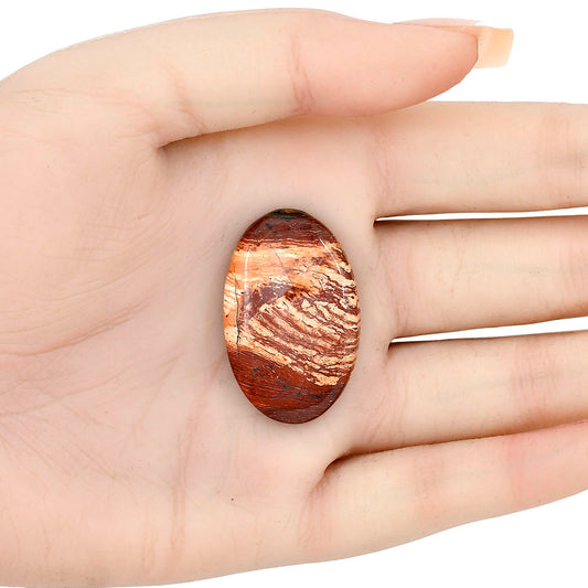 Snake Skin Jasper 34x21.6x6 mm Oval Gemstone LS01550-11