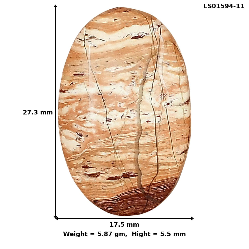 Snake Skin Jasper 27.3x17.5x5.5 mm Oval Gemstone LS01594-11
