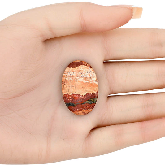 Snake Skin Jasper 31x20.5x5.5 mm Oval Gemstone LS01598-11