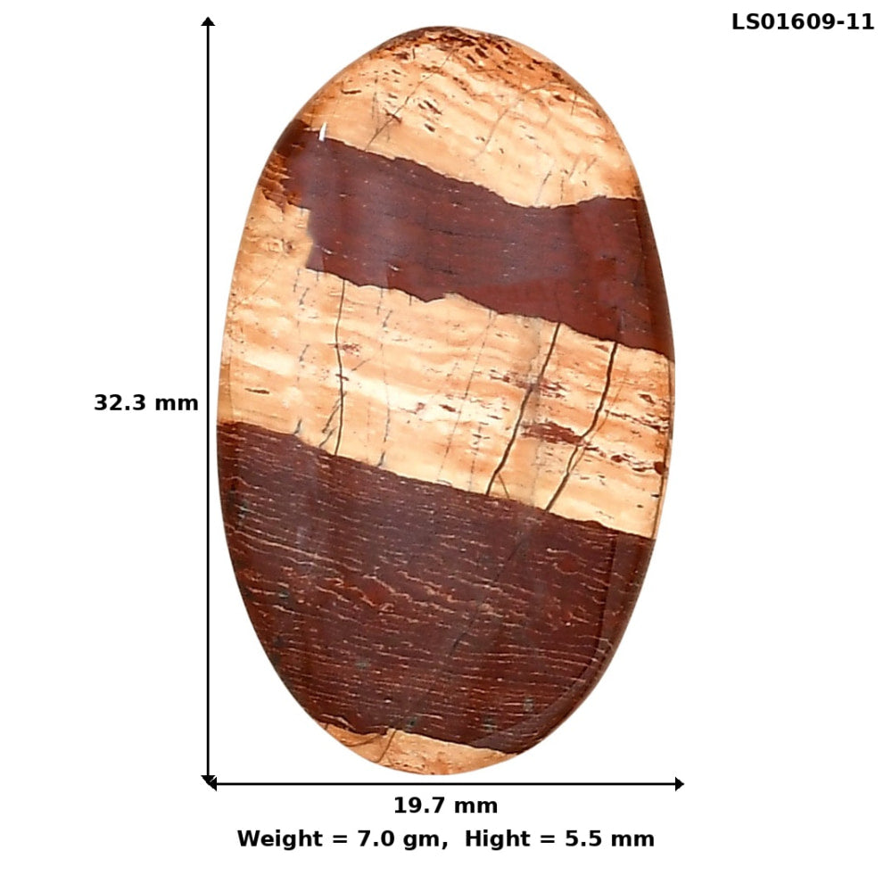 Snake Skin Jasper 32.3x19.7x5.5 mm Oval Gemstone LS01609-11