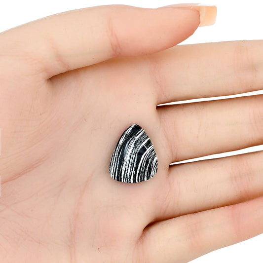 Silver Leaf Obsidian 19.4x15.5x5.3 mm Pear Gemstone LS01656-22