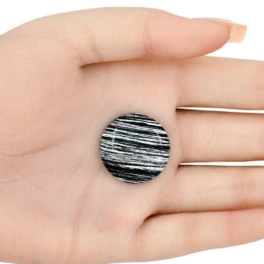 Silver Leaf Obsidian 24.2x24.2x5.3 mm Round Gemstone LS01669-22