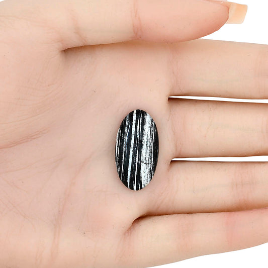 Silver Leaf Obsidian 25.1x13.8x6 mm Oval Gemstone LS01678-22