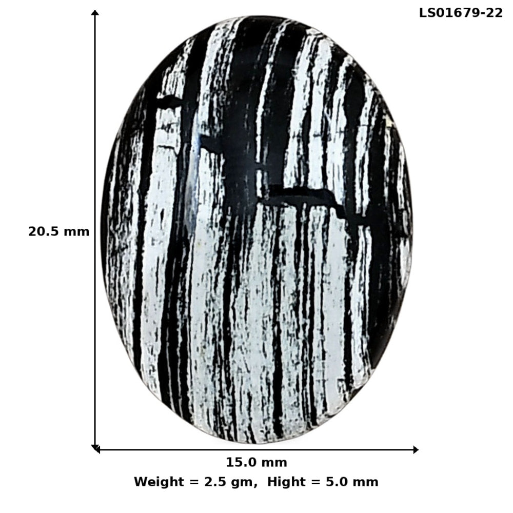 Silver Leaf Obsidian 20.5x15x5 mm Oval Gemstone LS01679-22