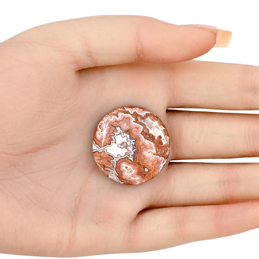 Rosetta Picture Jasper 28.9x28.9x6 mm Round Gemstone LS01724-24