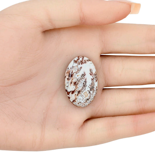 Rosetta Picture Jasper 29.7x19.2x5 mm Oval Gemstone LS01726-24