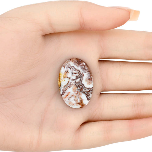Rosetta Picture Jasper 30x20.7x5 mm Oval Gemstone LS01733-24