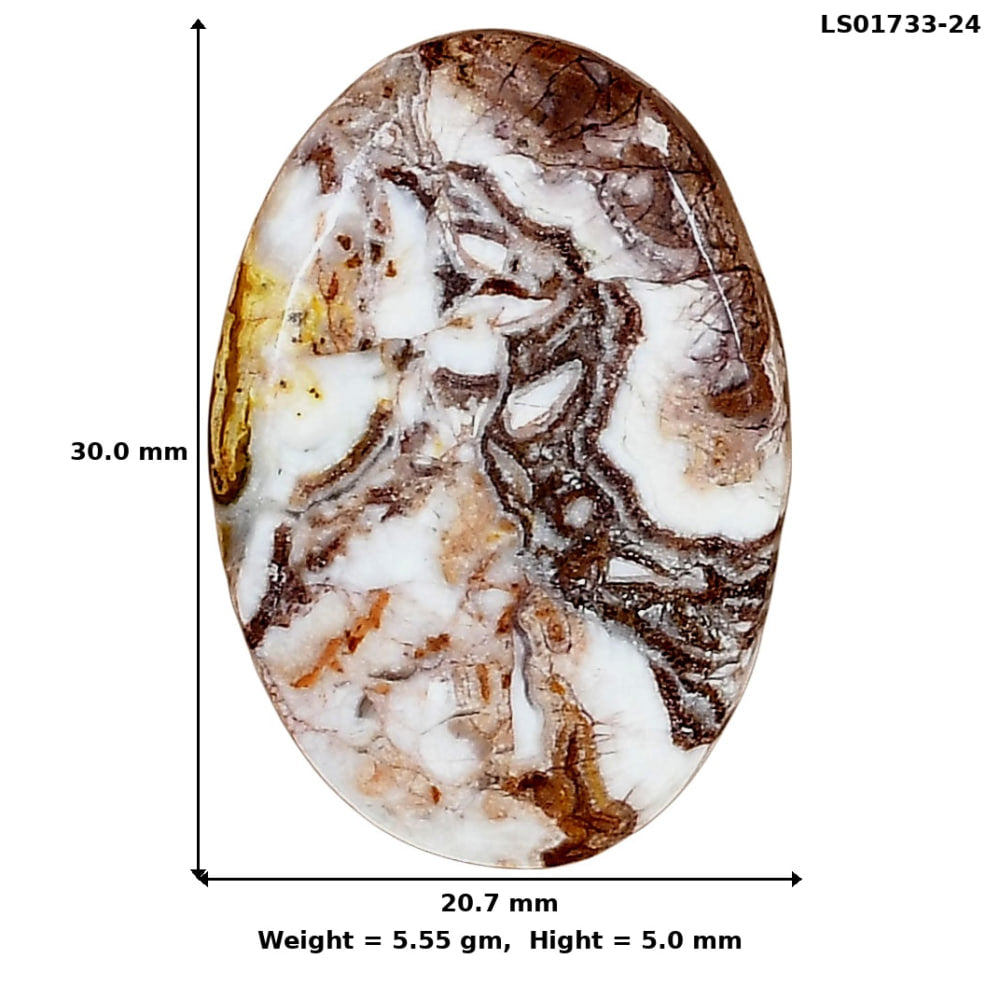 Rosetta Picture Jasper 30x20.7x5 mm Oval Gemstone LS01733-24