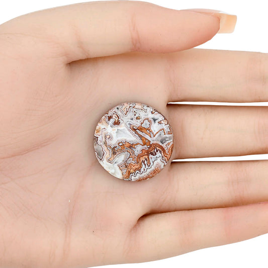 Rosetta Picture Jasper 26.7x26.7x6 mm Round Gemstone LS01734-24