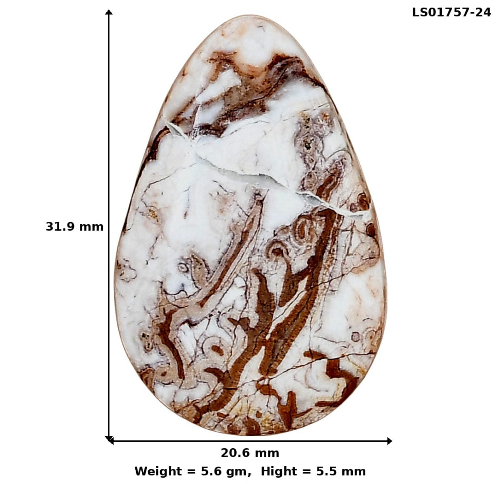 Rosetta Picture Jasper 31.9x20.6x5.5 mm Pear Gemstone LS01757-24
