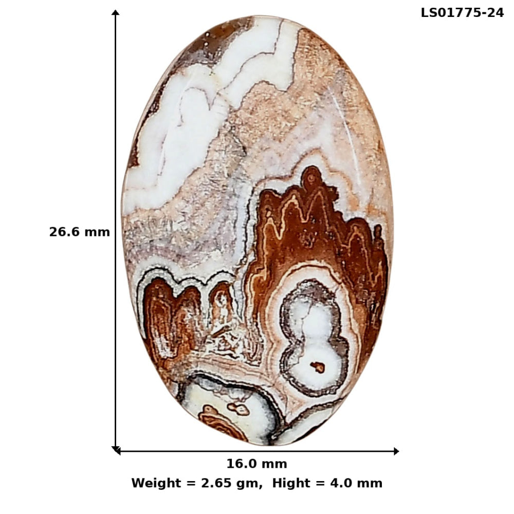 Rosetta Picture Jasper 26.6x16x4 mm Oval Gemstone LS01775-24