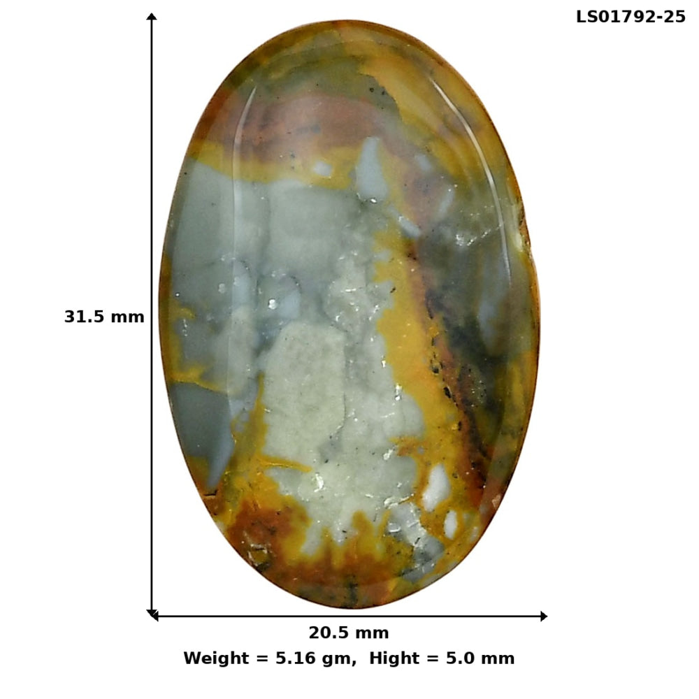 Rocky Butte Picture Jasper 31.5x20.5x5 mm Oval Gemstone LS01792-25