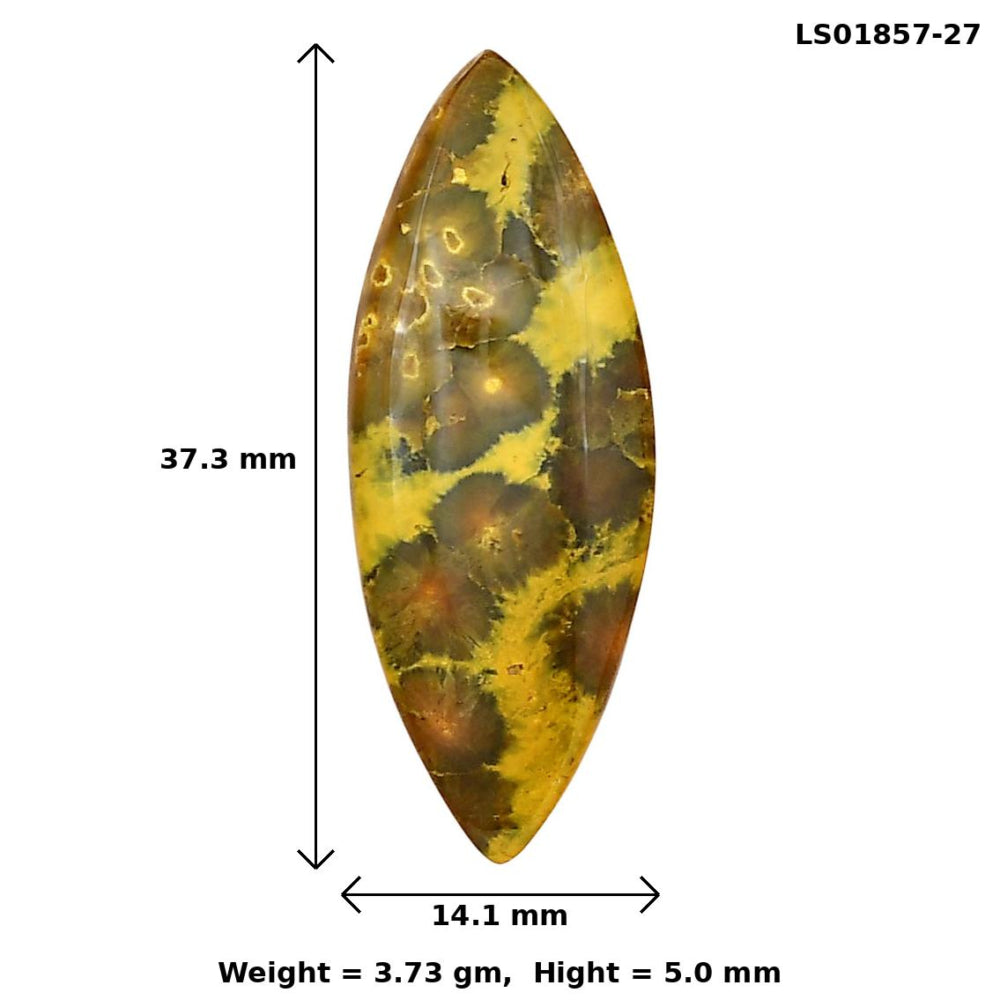 Ocean Jasper 37.3x14.1x5 mm Marquise Gemstone LS01857-27