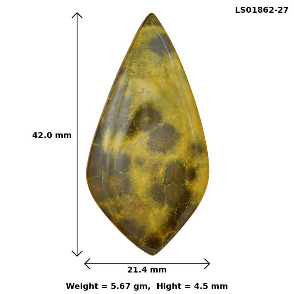 Ocean Jasper 42x21.4x4.5 mm Fancy Gemstone LS01862-27