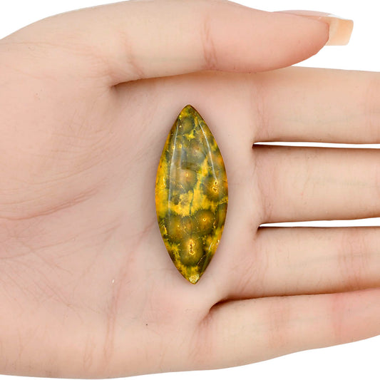 Ocean Jasper 42.5x17.2x5.5 mm Marquise Gemstone LS01865-27