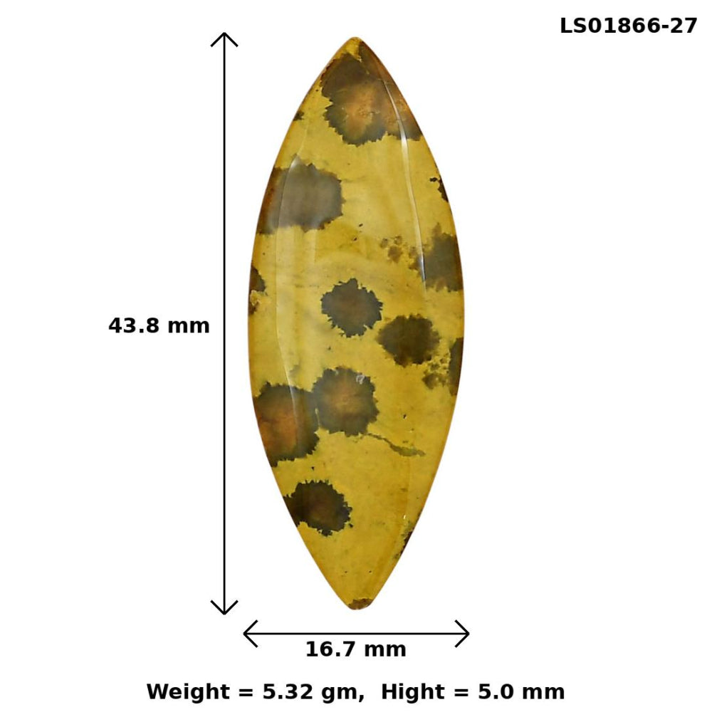 Ocean Jasper 43.8x16.7x5 mm Marquise Gemstone LS01866-27